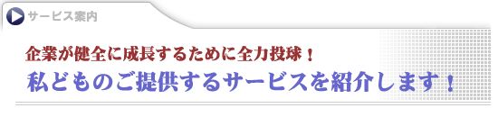 �T�[�r�X�ē�